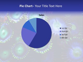 Zoanthids Coral PowerPoint Template