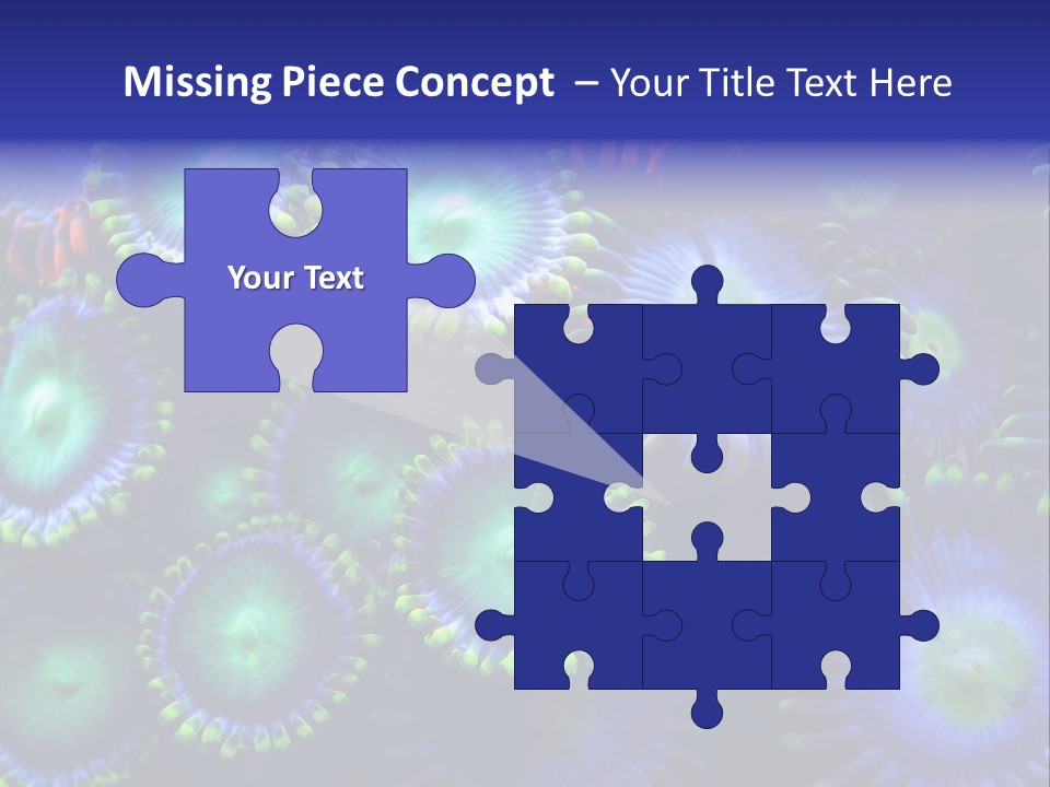 Zoanthids Coral PowerPoint Template