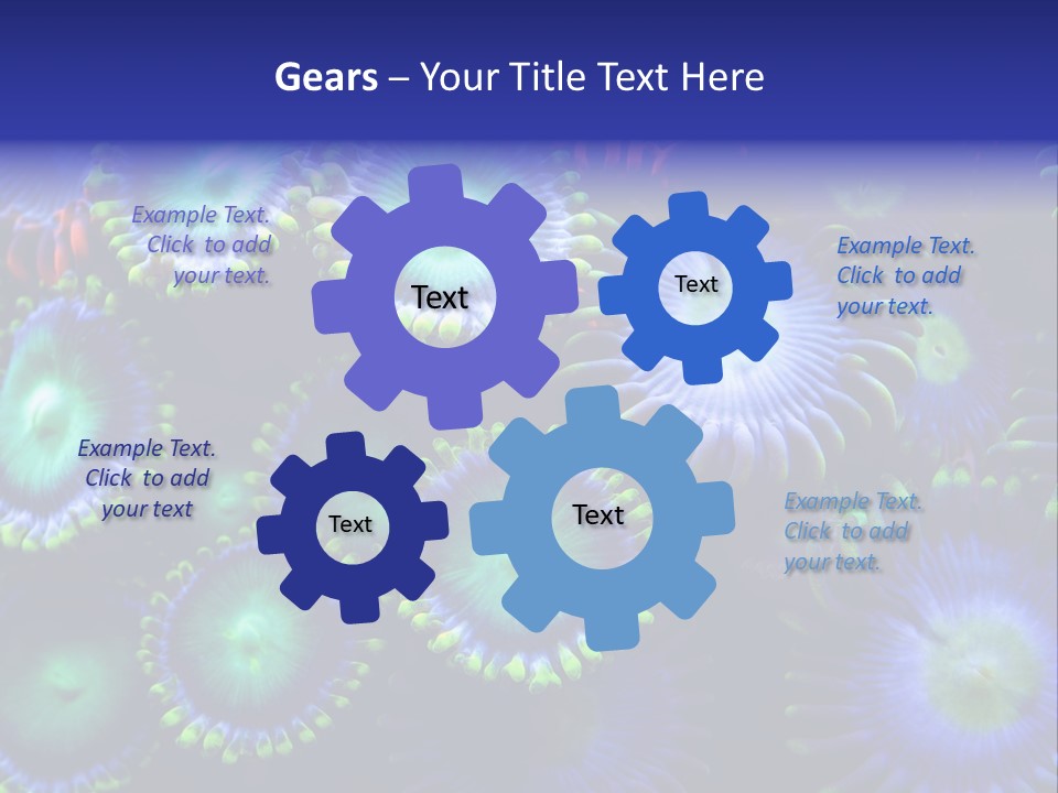 Zoanthids Coral PowerPoint Template