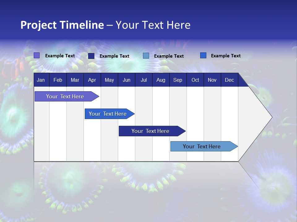 Zoanthids Coral PowerPoint Template