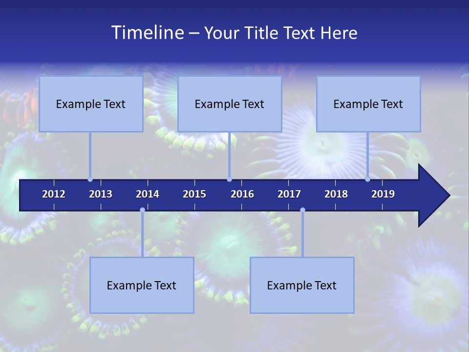Zoanthids Coral PowerPoint Template