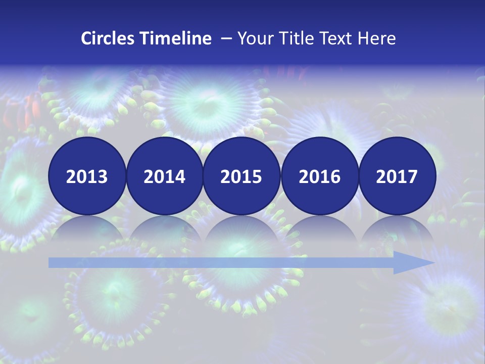 Zoanthids Coral PowerPoint Template