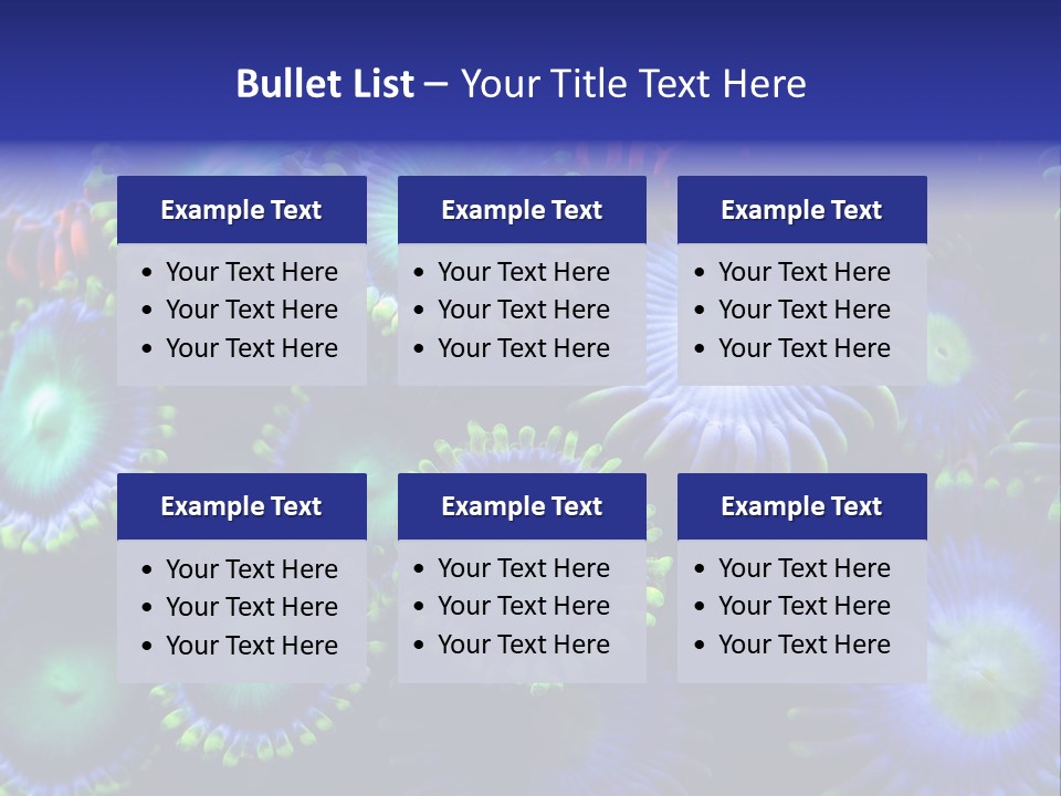 Zoanthids Coral PowerPoint Template