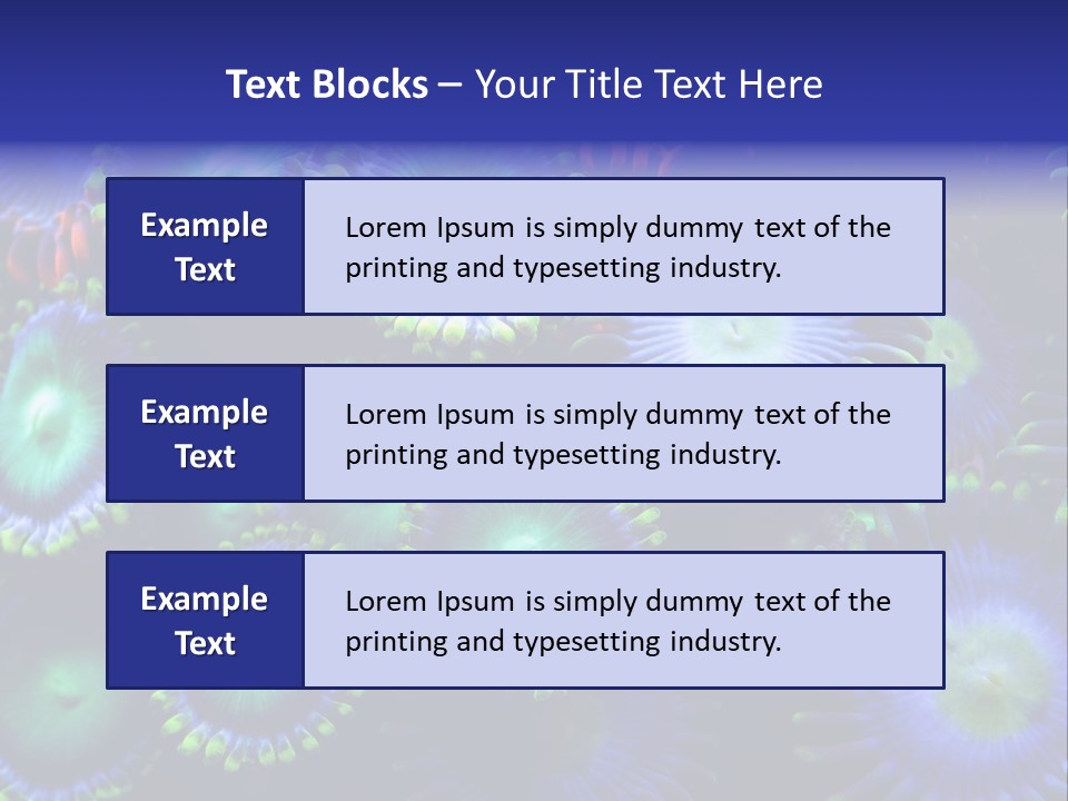 Zoanthids Coral PowerPoint Template