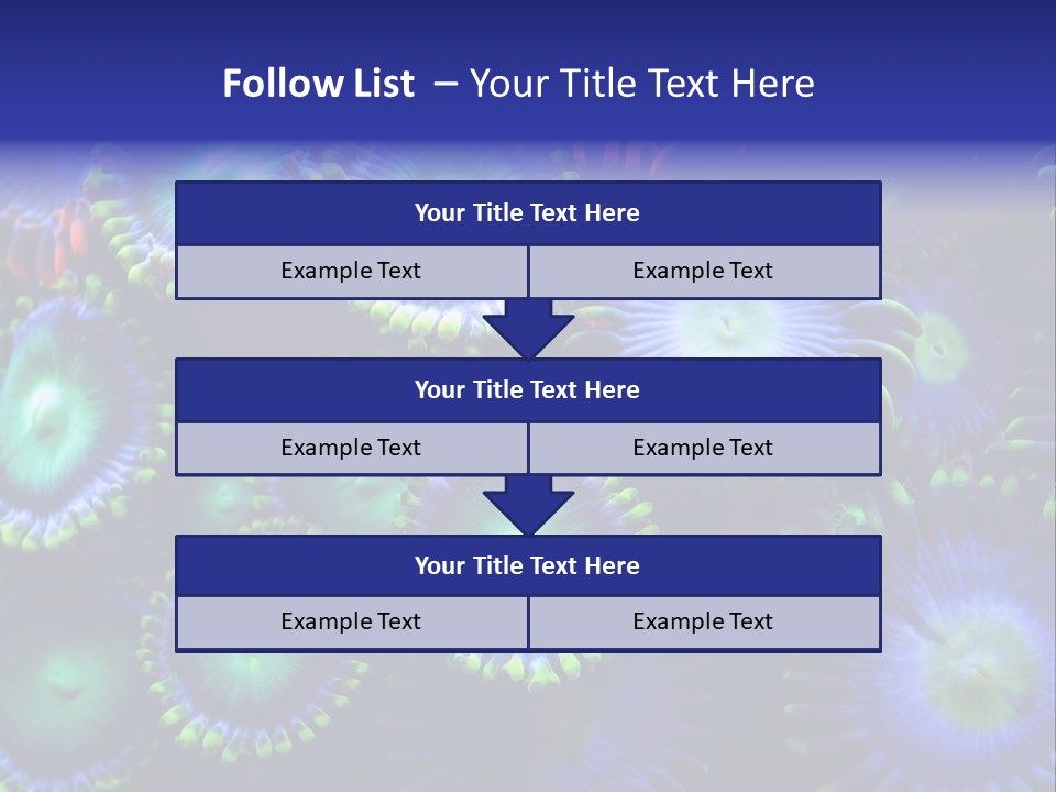 Zoanthids Coral PowerPoint Template