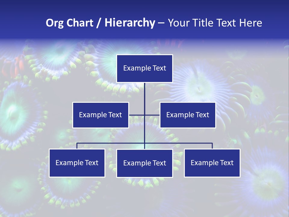 Zoanthids Coral PowerPoint Template
