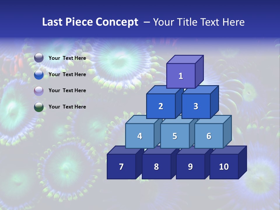 Zoanthids Coral PowerPoint Template