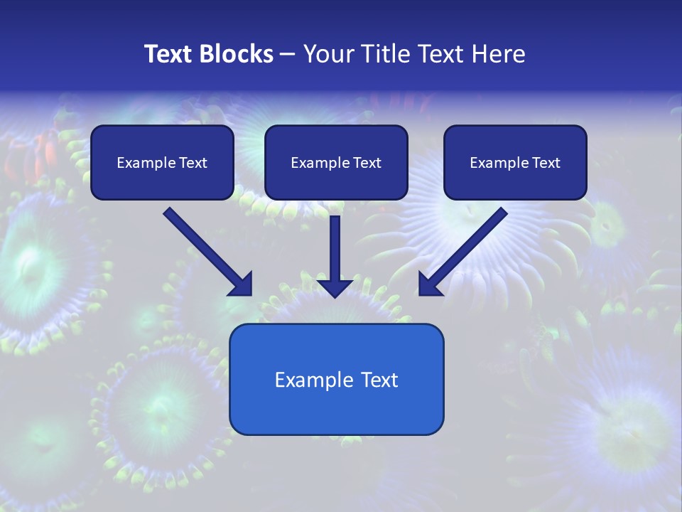 Zoanthids Coral PowerPoint Template
