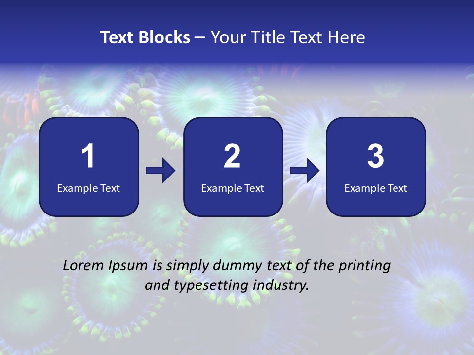 Zoanthids Coral PowerPoint Template