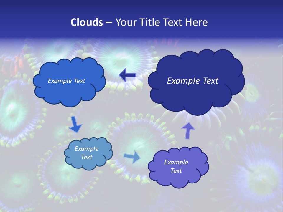 Zoanthids Coral PowerPoint Template