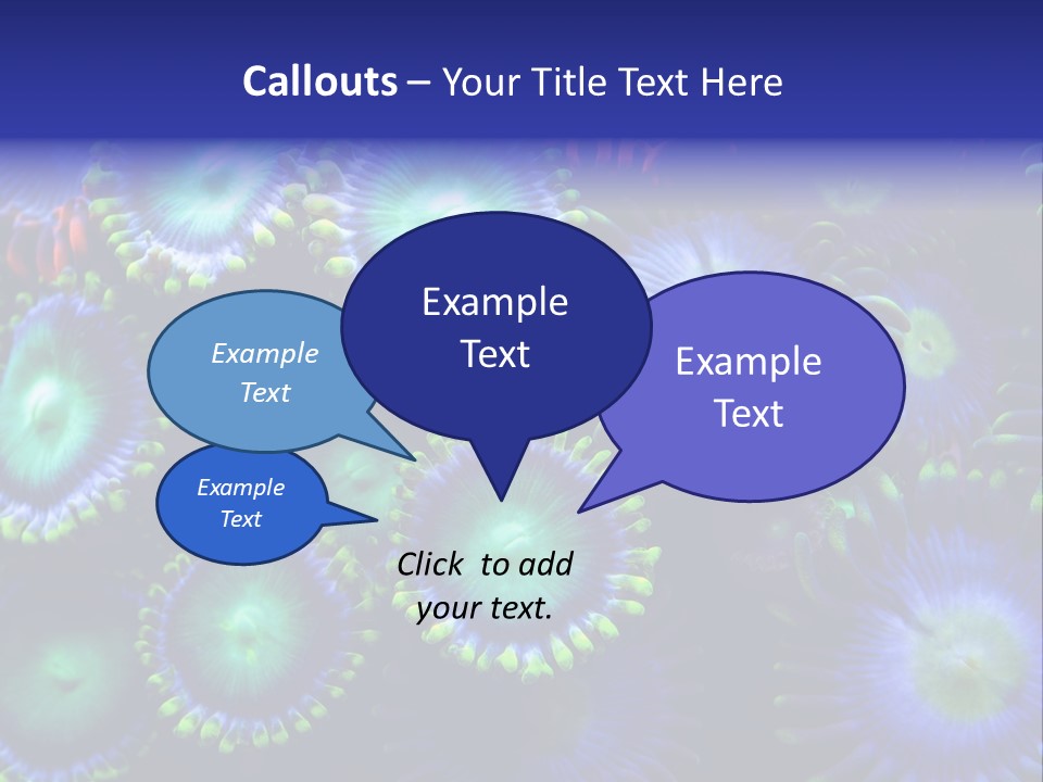 Zoanthids Coral PowerPoint Template