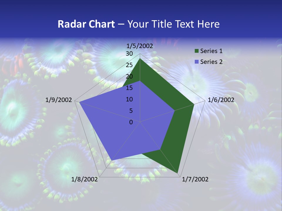 Zoanthids Coral PowerPoint Template