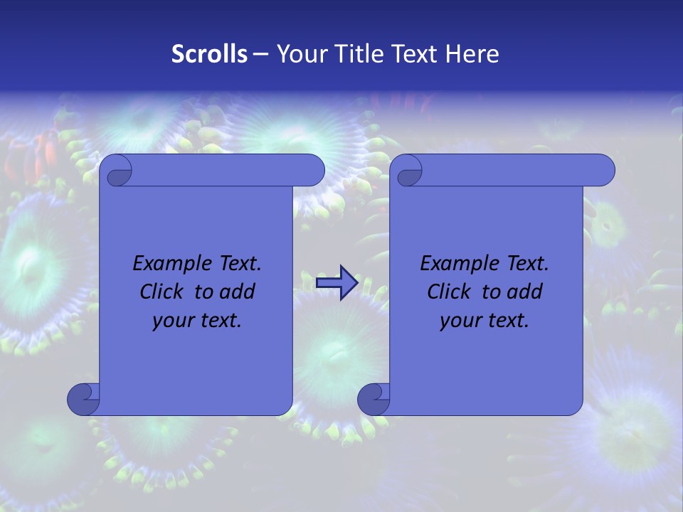 Zoanthids Coral PowerPoint Template