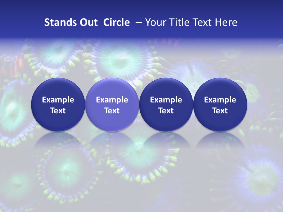 Zoanthids Coral PowerPoint Template