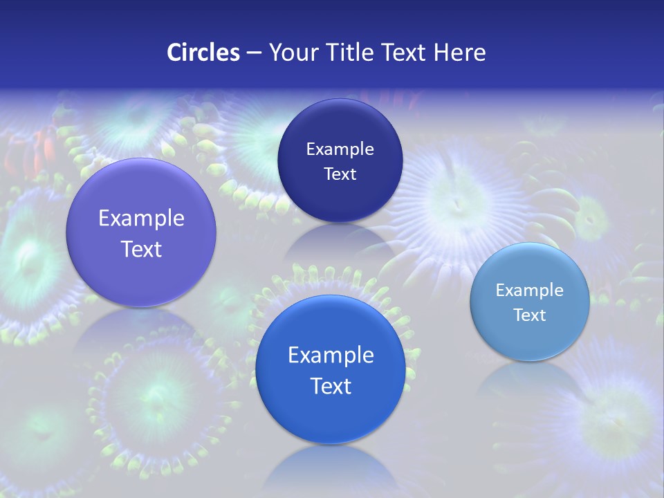 Zoanthids Coral PowerPoint Template