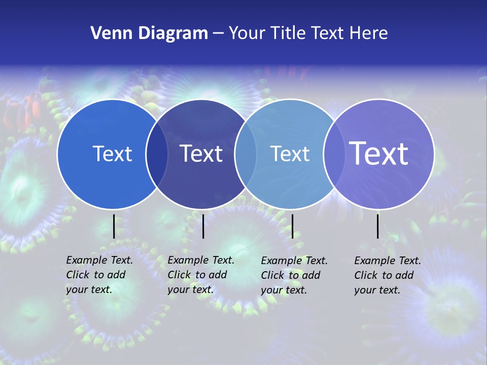 Zoanthids Coral PowerPoint Template