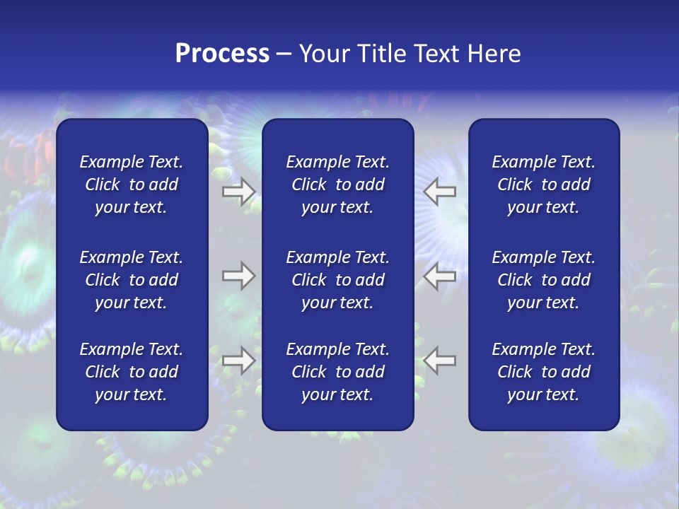 Zoanthids Coral PowerPoint Template