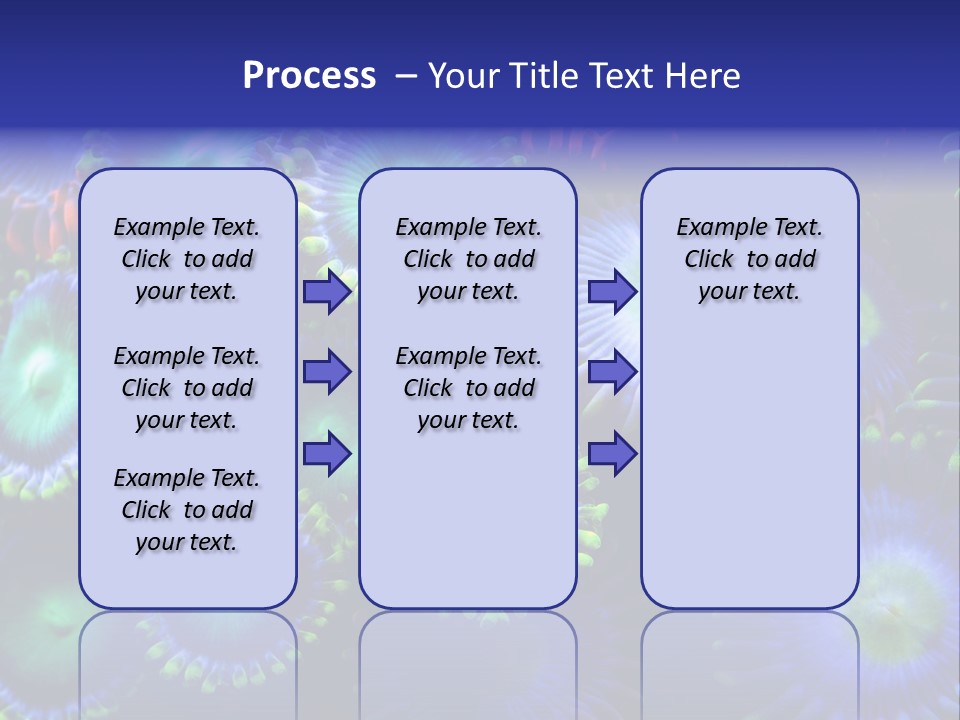 Zoanthids Coral PowerPoint Template