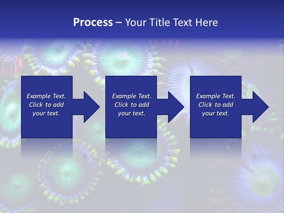 Zoanthids Coral PowerPoint Template