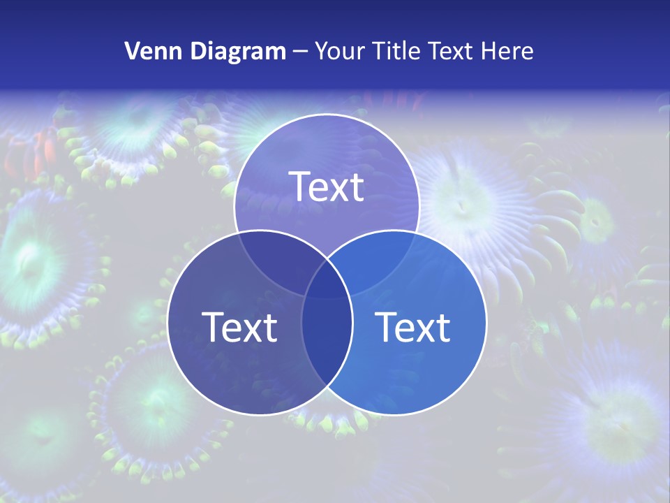 Zoanthids Coral PowerPoint Template