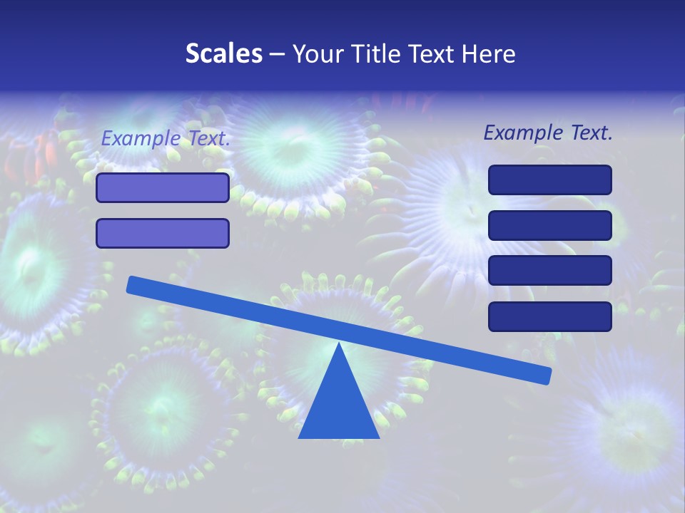 Zoanthids Coral PowerPoint Template