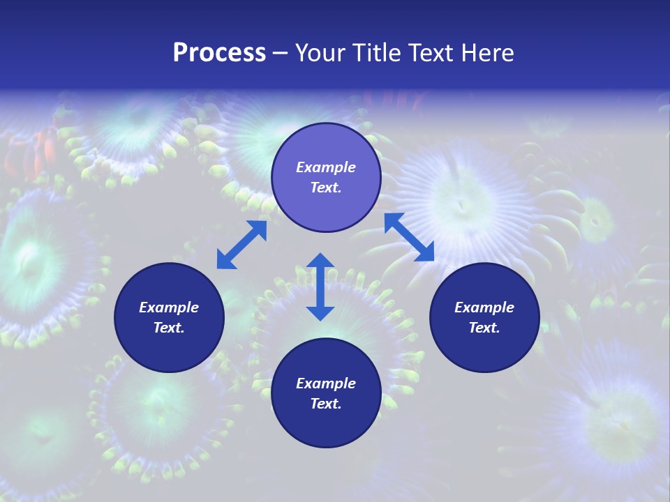 Zoanthids Coral PowerPoint Template