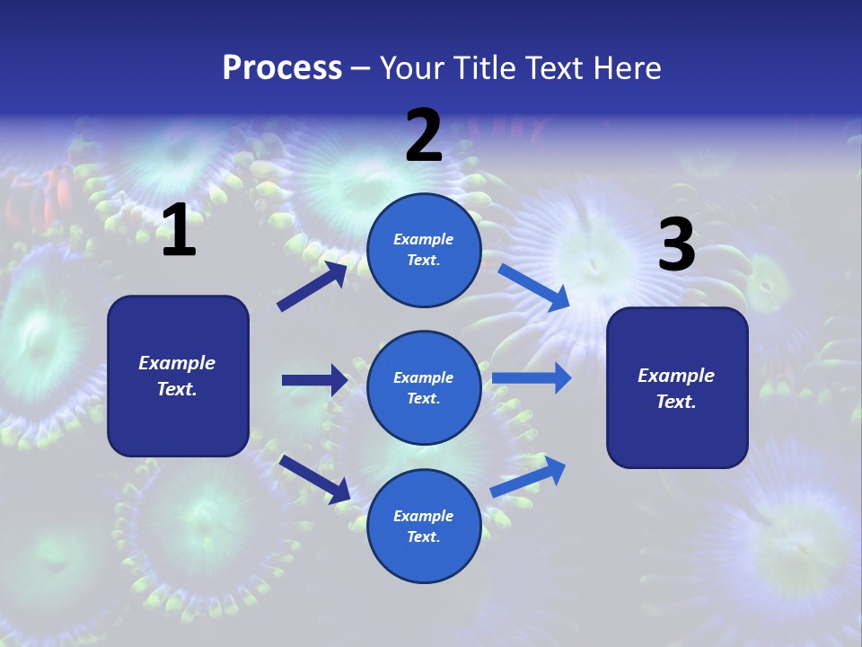 Zoanthids Coral PowerPoint Template