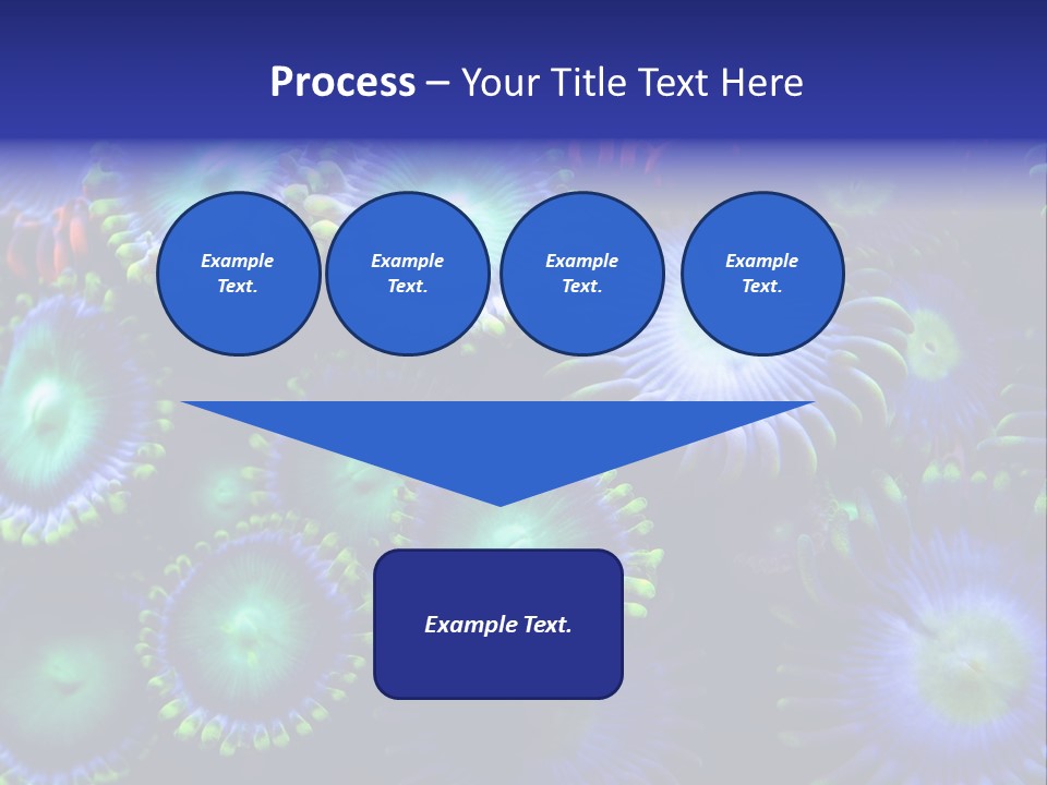 Zoanthids Coral PowerPoint Template