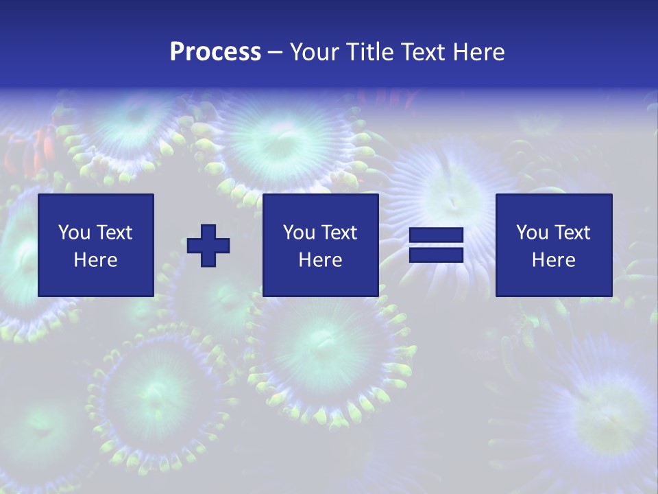 Zoanthids Coral PowerPoint Template