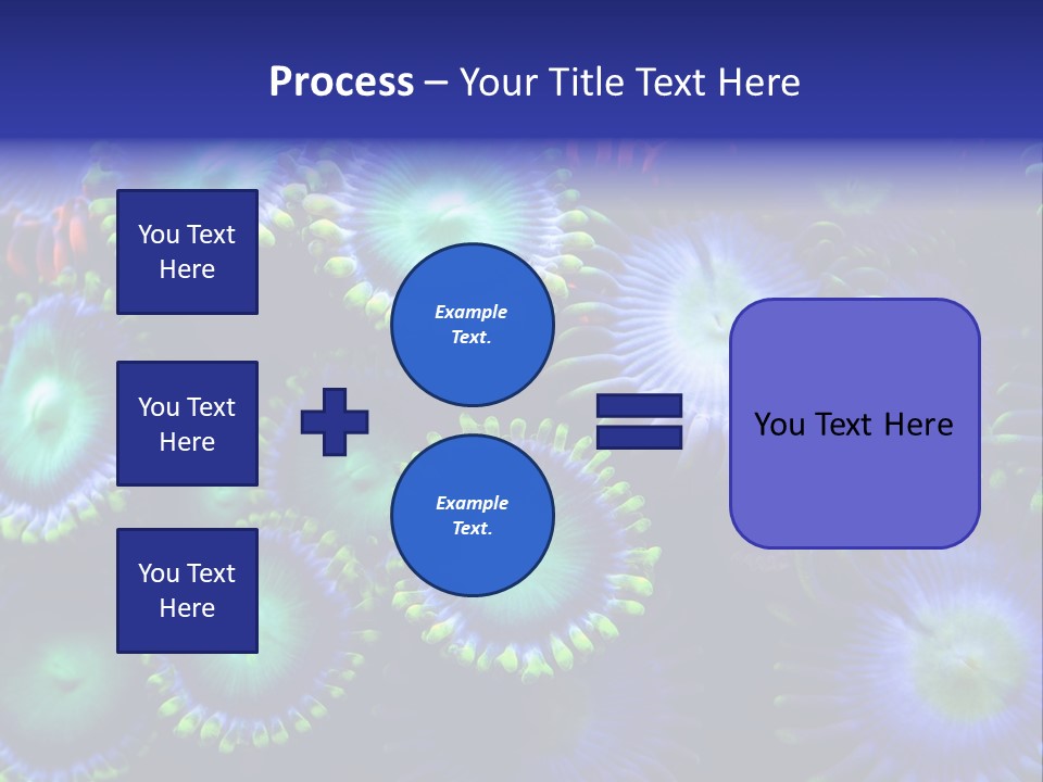 Zoanthids Coral PowerPoint Template