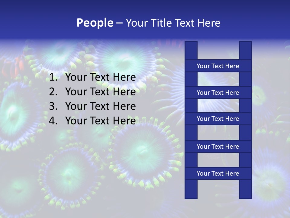 Zoanthids Coral PowerPoint Template