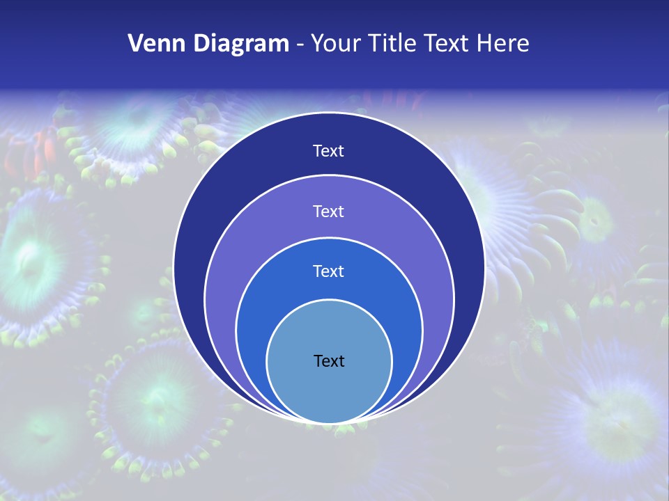 Zoanthids Coral PowerPoint Template