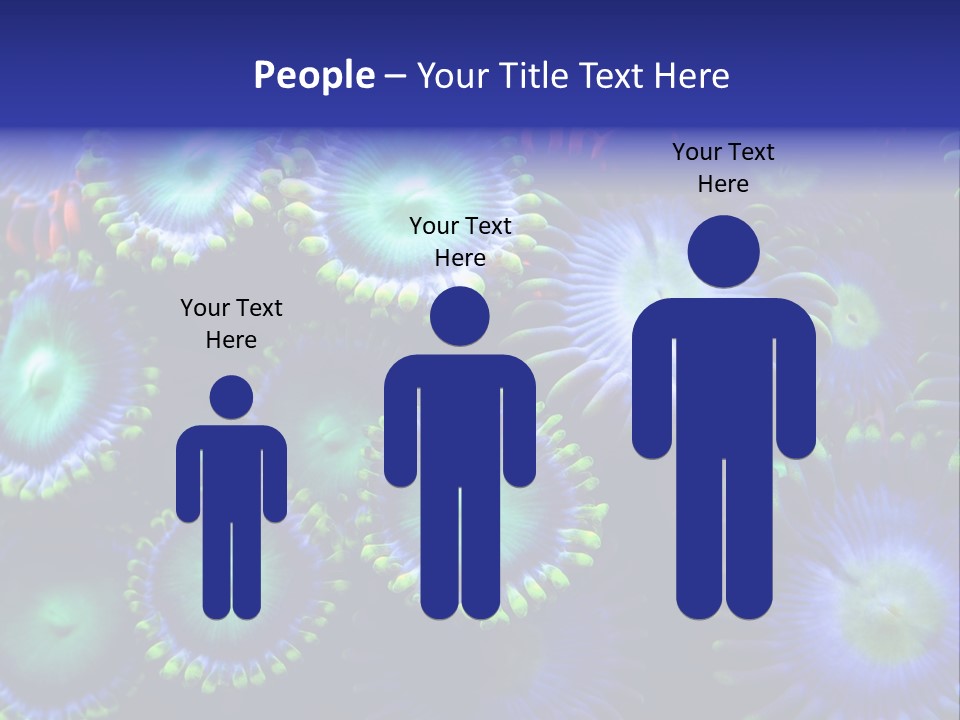 Zoanthids Coral PowerPoint Template