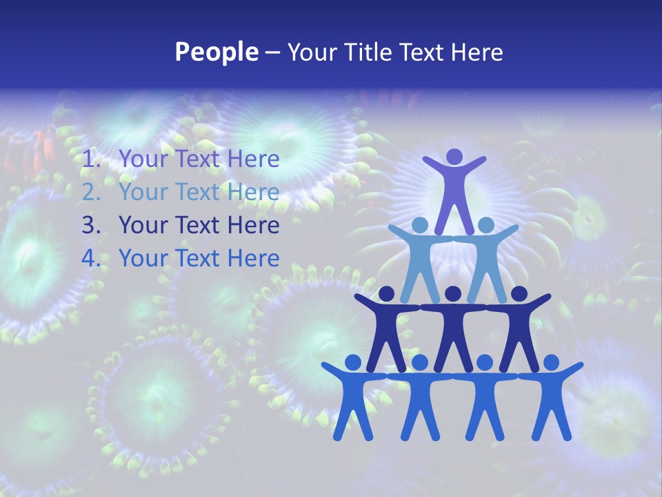 Zoanthids Coral PowerPoint Template