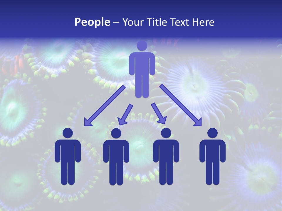 Zoanthids Coral PowerPoint Template