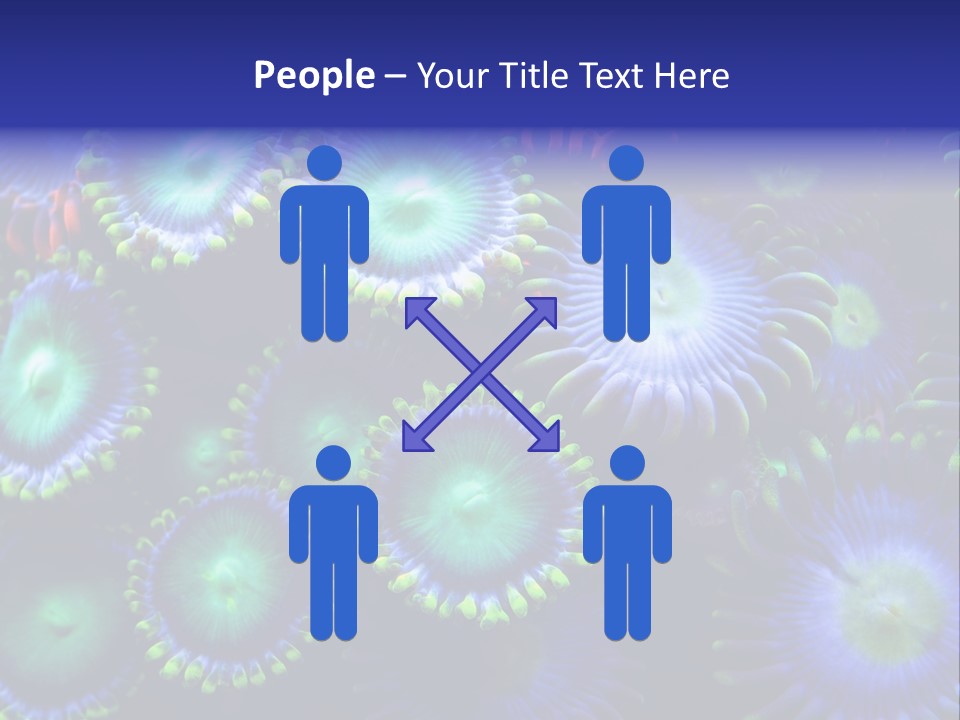 Zoanthids Coral PowerPoint Template
