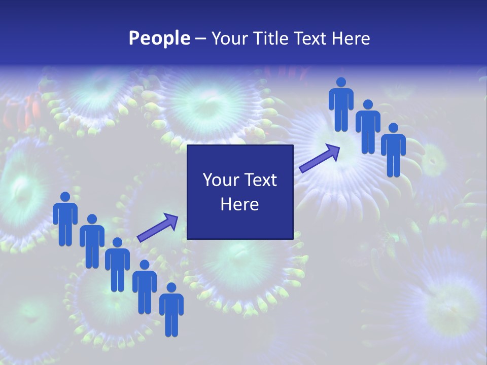 Zoanthids Coral PowerPoint Template