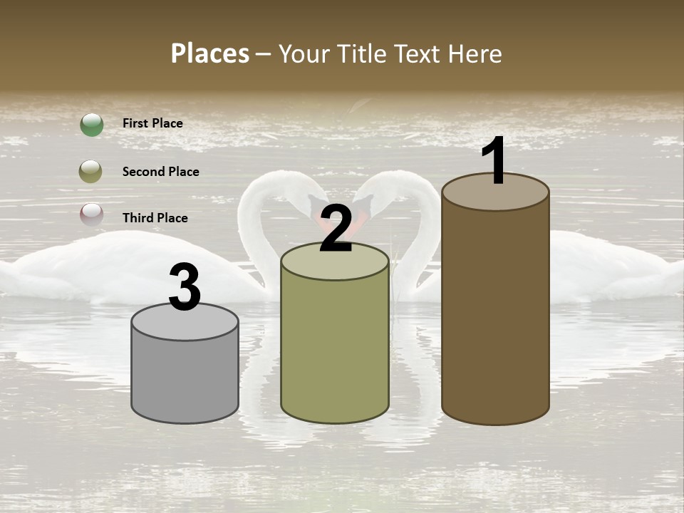 Swans Love PowerPoint Template