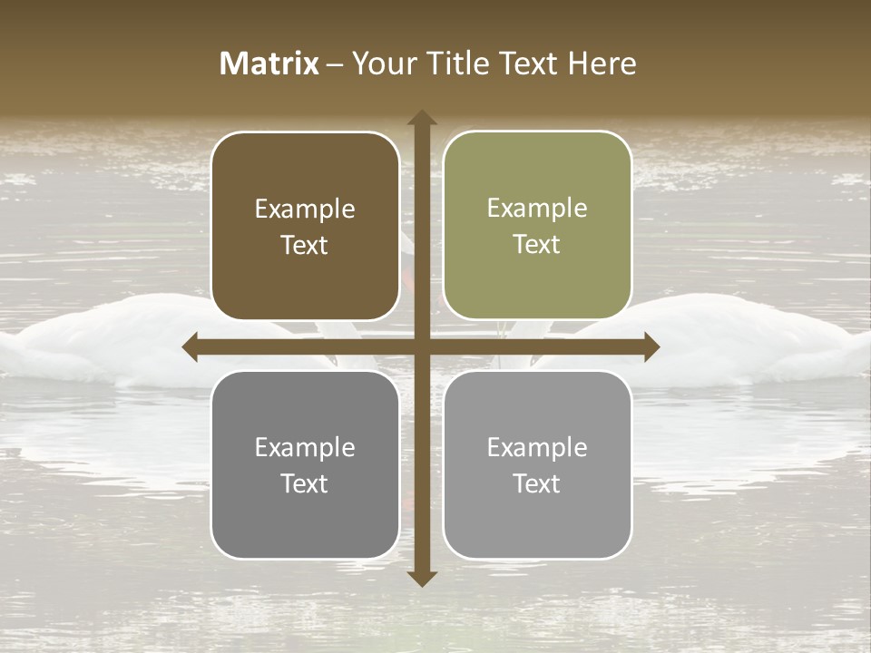 Swans Love PowerPoint Template