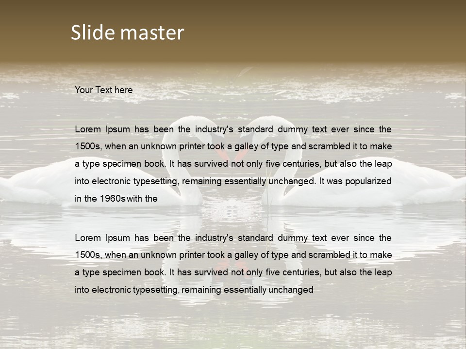 Swans Love PowerPoint Template