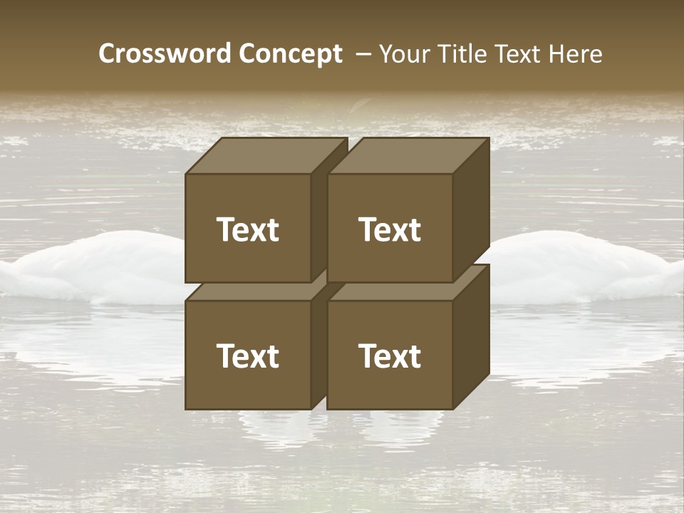 Swans Love PowerPoint Template
