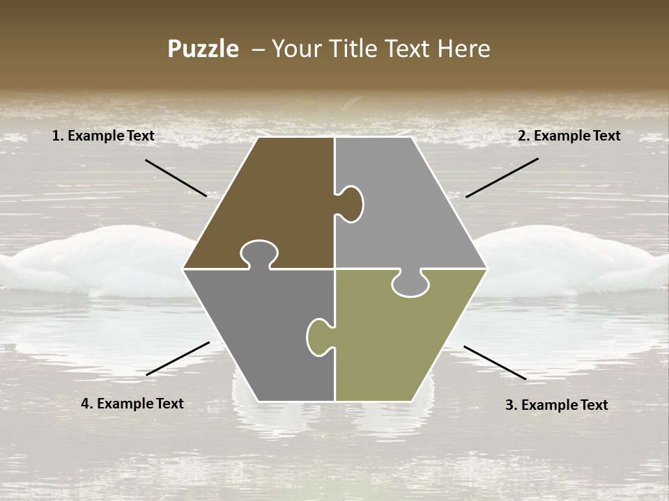 Swans Love PowerPoint Template