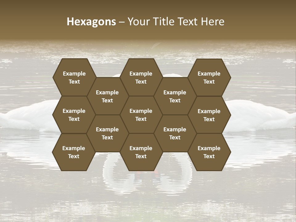 Swans Love PowerPoint Template