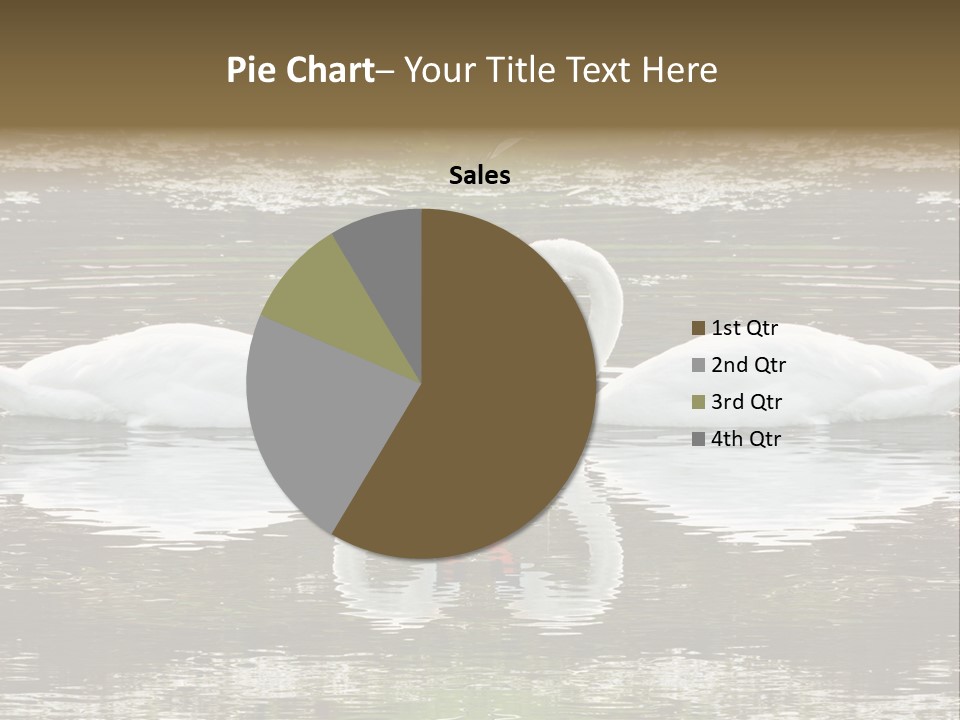 Swans Love PowerPoint Template