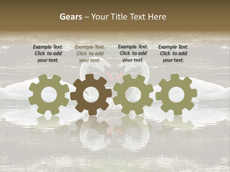 Swans Love PowerPoint Template