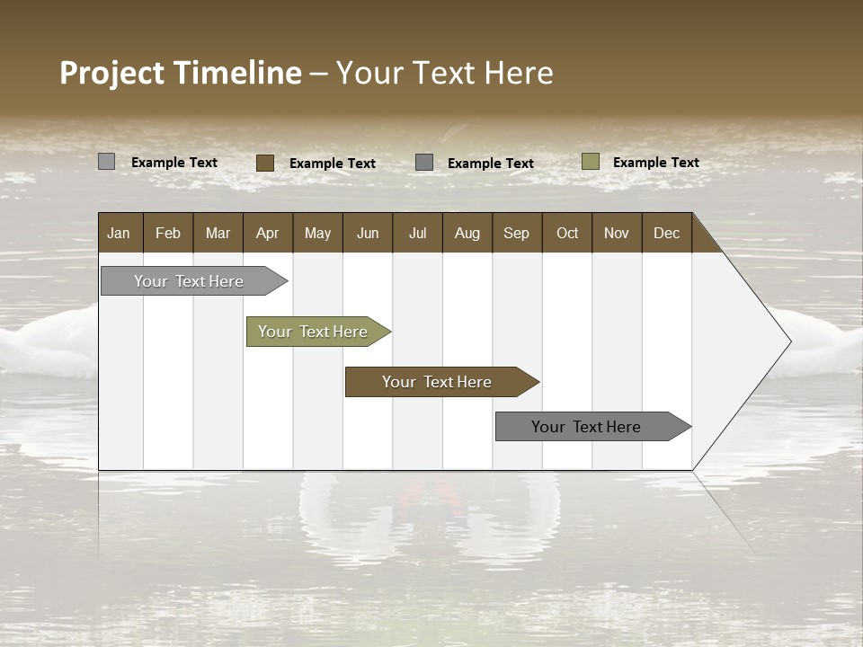 Swans Love PowerPoint Template