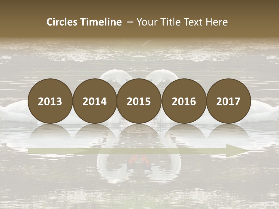 Swans Love PowerPoint Template