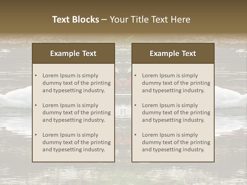 Swans Love PowerPoint Template