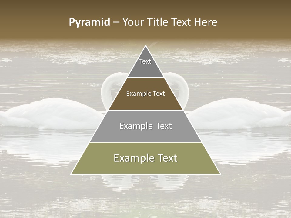 Swans Love PowerPoint Template