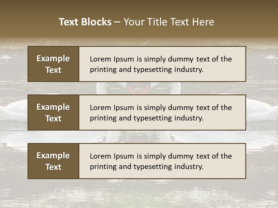 Swans Love PowerPoint Template